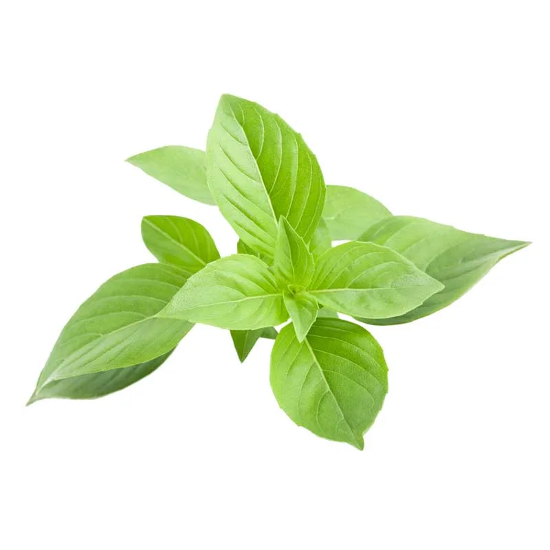 اسانس ریحان خوراکی