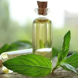 نحوه ساخت انواع اسانس‌های صنعتی مشابه طبیعی